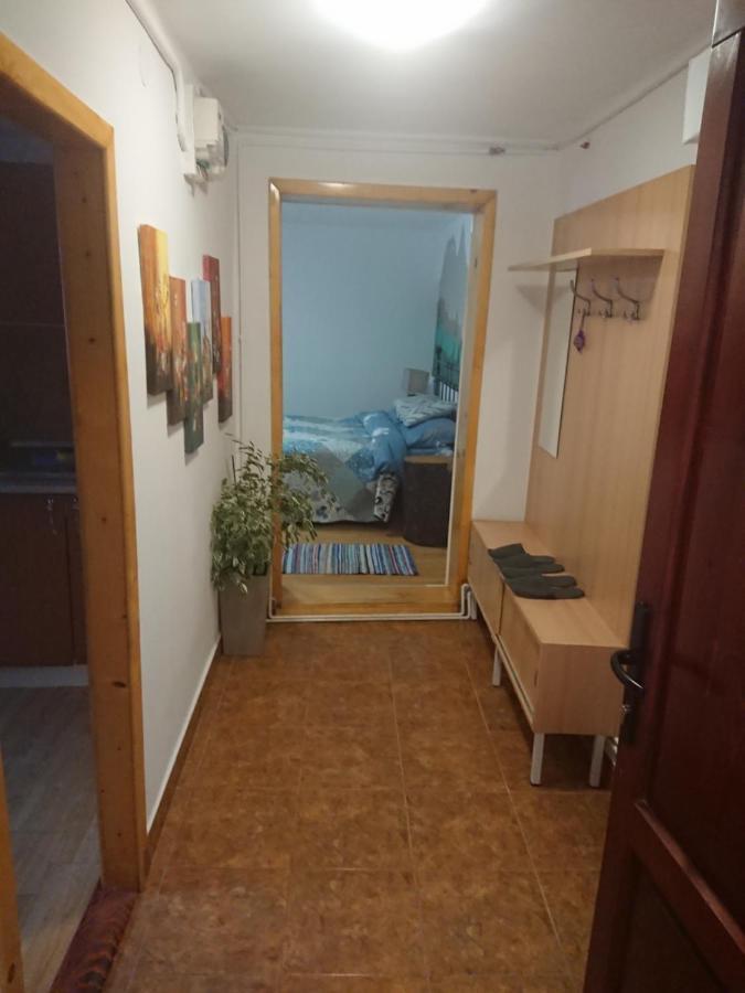 Katy'S Studio Apartment Brașov Exterior foto